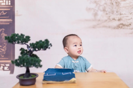 咸宁二岁宝宝发型 咸宁二岁宝宝发型